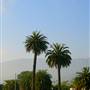Carpinteria State Beach (SB)