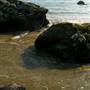 Carpinteria State Beach (SB)