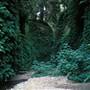 Prairie Creek Redwoods State Park (SP) within the Redwood National and State Parks
