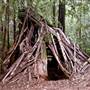 Hendy Woods State Park (SP)
