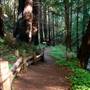 Limekiln State Park (SP)