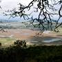 Olompali State Historic Park (SHP)