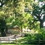 William B. Ide Adobe State Historic Park (SHP)