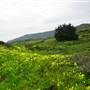 San Bruno Mountain State Park (SP)