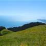 Mount Tamalpais State Park (SP)