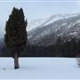 Grover Hot Springs State Park (SP)