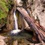 Limekiln State Park (SP)
