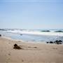 El Matador State Beach @ Robert H. Meyer Memorial State Beach (SB) - CFC