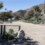 Sycamore Cove State Beach (SB) & Campground @ Point Mugu State Park (SP) - CFC