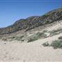 Point Mugu State Park (SP) – Sandy Dune