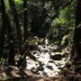 Trione-Annadel State Park (SP)