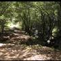 Trione-Annadel State Park (SP)