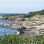 Año  Nuevo State Park (SP)