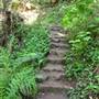 Big Basin Redwoods State Park (SP)