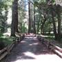 Big Basin Redwoods State Park (SP)