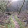 Bothe-Napa Valley State Park (SP)