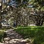 Point Lobos State Natural Reserve (SNR)