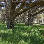 Point Lobos State Natural Reserve (SNR)