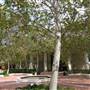 University of Southern California - USC