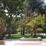 University of Southern California - USC