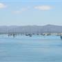 Morro Bay State Park (SP)