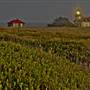 Point Cabrillo Light Station State Historic Park (SHP)