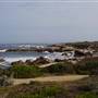 Asilomar State Beach and Conference Grounds