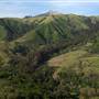 Andrew Molera State Park (SP)