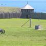 Fort Ross State Historic Park (SHP)