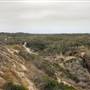Oceano Dunes State Vehicular Recreation Area (SVRA) / Pismo State Beach (SB)