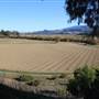 Mission Santa Ines