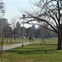 California State University, Fresno