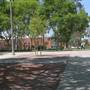 California State University, Long Beach - CSULB