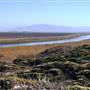 Salinas River State Beach (SB)