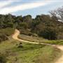 Mount Diablo State Park (SP)