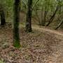 Mount Diablo State Park (SP)