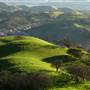 Mount Diablo State Park (SP)