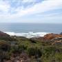 Torrey Pines State Natural Reserve (SNR)