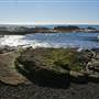 Rancho Del Oso and Waddell Beach @ Big Basin Redwoods State Park (SP)