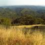 Armstrong Redwoods State Natural Reserve (SNR)