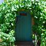 San Juan Bautista State Historic Park (SHP)