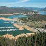 Shasta Reservoir