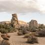 Joshua Tree National Park - NPS