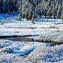Tuolumne Meadows