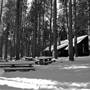 Calaveras Big Trees State Park (SP)