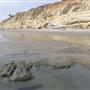 Cardiff State Beach (SB)