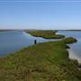 Bolsa Chica Ecological Reserve - California Department of Fish & Wildlife (CDFW)