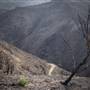 Rancho Sierra Vista / Satwiwa - National Park Service (NPS)