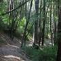 Benbow State Recreation Area (SRA)