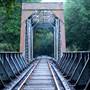 Henry Cowell Redwoods State Park (SP)